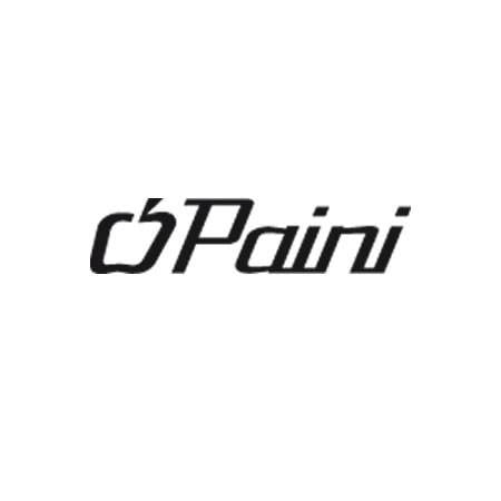 Paini-logo